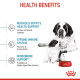 Royal Canin Giant Starter Mother & Babydog – Hrană Uscată pentru Cățele Gestante/în Lactație și Pui de Câine de Talie Gigantă – 15 kg